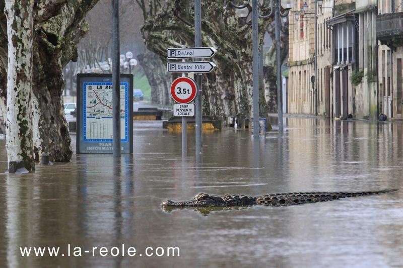 crue garonne 2018 la reole